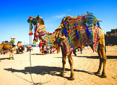 rajasthan_tour_packages